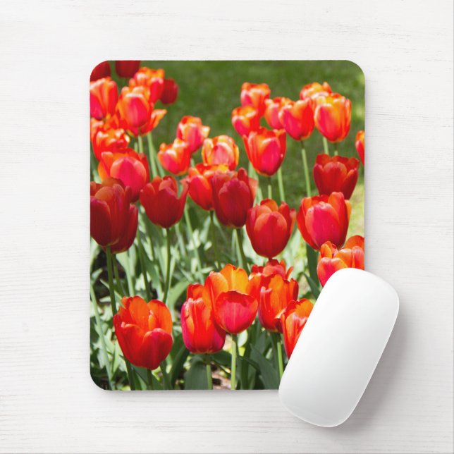 Mousepad Grande campo de tulipas vermelhas (Com mouse)