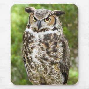 Mousepad Grande coruja Horned