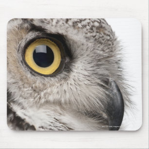 Mousepad Grande coruja Horned - bubão Virginianus