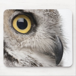 Mousepad Grande coruja Horned - bubão Virginianus