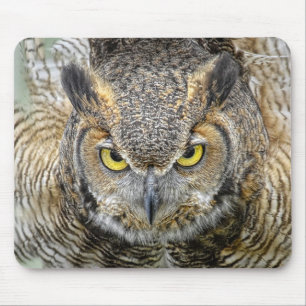 Mousepad Grande coruja Horned depois dos olhos