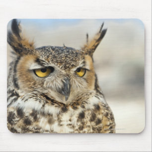 Mousepad Grande coruja Horned (virginianus do bubão)