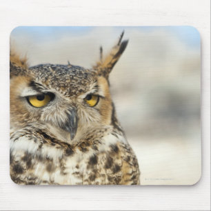 Mousepad Grande coruja Horned (virginianus) do bubão,