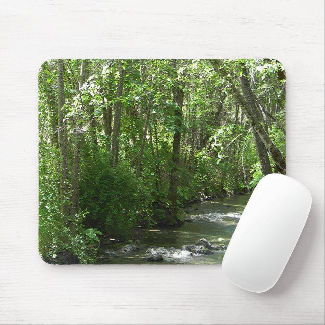Mousepad Grande Creek no Verão..... (Com mouse)