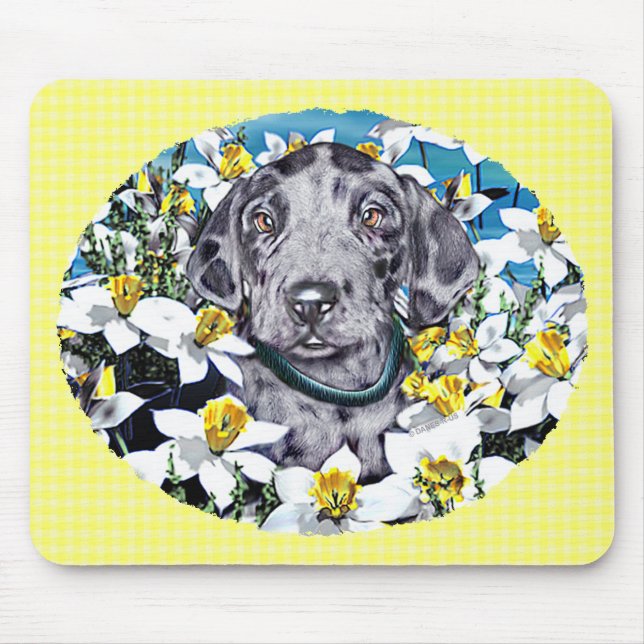 Mousepad Grande Dane Pup em Daffodils Merle (Frente)