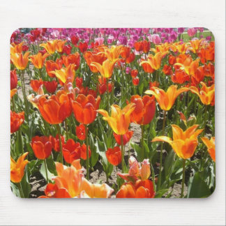 Mousepad Grande dia