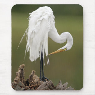 Mousepad Grande Egret