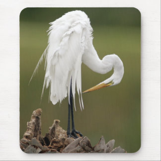 Mousepad Grande Egret