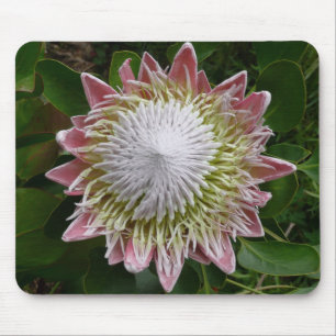 Mousepad Grande Foto da Flor Rosa e Branca na Natureza