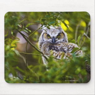 Mousepad Grande Owlet Horned