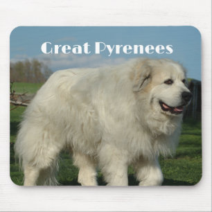 Mousepad Grande Pirineus