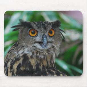Mousepad Grande tapete do rato da coruja