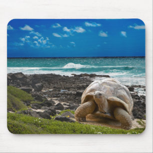 Mousepad Grande tartaruga na borda do mar