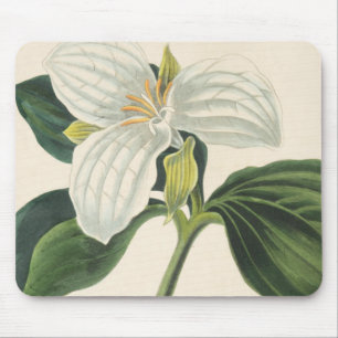 Mousepad Grande Trillium florescido