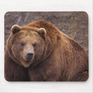 Mousepad Grande urso de Kodiak