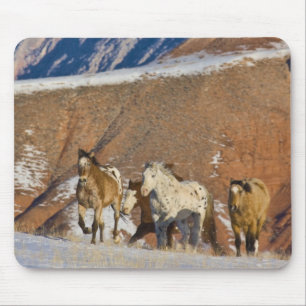 Mousepad Grandes Montanhas Horn, Cavalos correndo