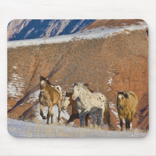 Mousepad Grandes Montanhas Horn, Cavalos correndo (Frente)