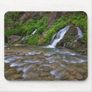 Mousepad Grandes Nascentes Rio Virgem Parque Nacional de