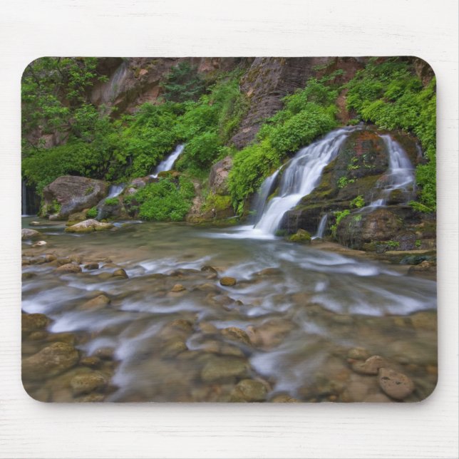 Mousepad Grandes Nascentes Rio Virgem | Parque Nacional de  (Frente)