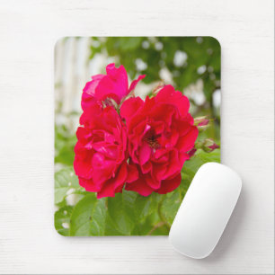 Mousepad Grandes rosas vermelhas no jardim