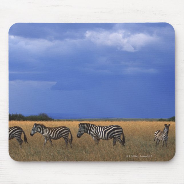 Mousepad Grant Zebra 2 (Frente)