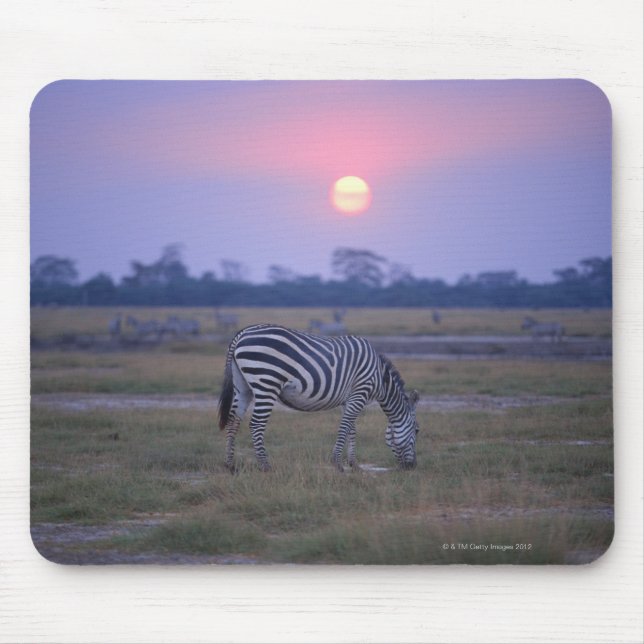Mousepad Grant Zebra 3 (Frente)
