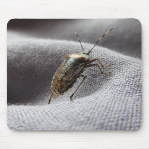 Mousepad Graue Gartenwanze inseto de cheiro de buggy