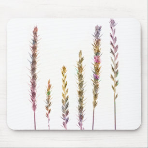 Mousepad Graus Coloridos