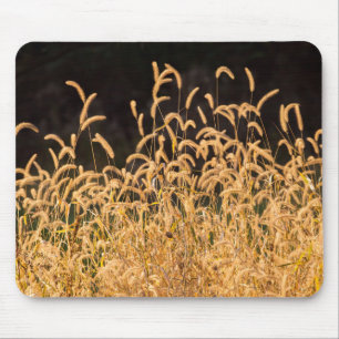Mousepad Graus de outono