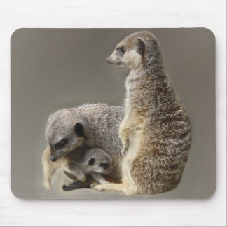 Mousepad Gravatas de família