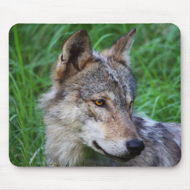 Mousepad Gray Timber Wolf (Frente)