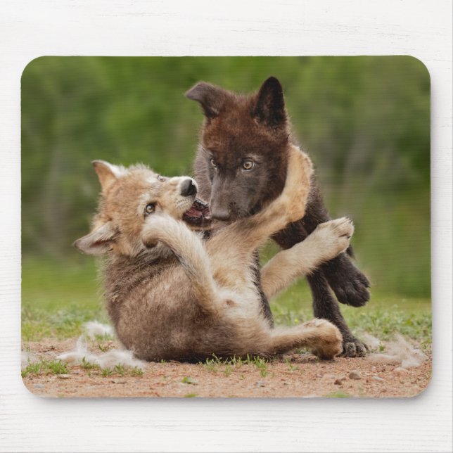 Mousepad Gray Wolf Pups Wresting (Frente)