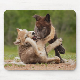 Mousepad Gray Wolf Pups Wrestling