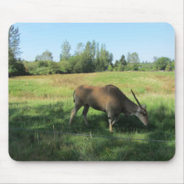 Mousepad Grazing Antelope