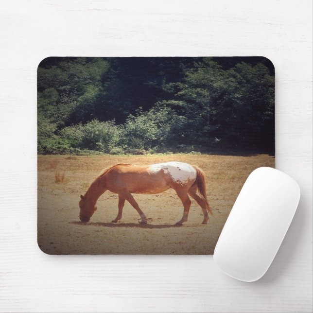Mousepad Grazing Palomino.... (Com mouse)