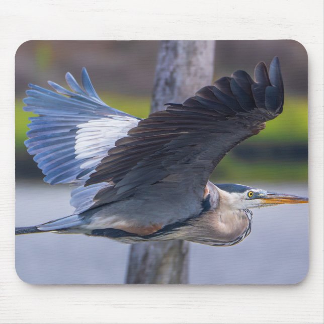 Mousepad Great Blue Heron Flight Wildlife Bird Photography (Frente)