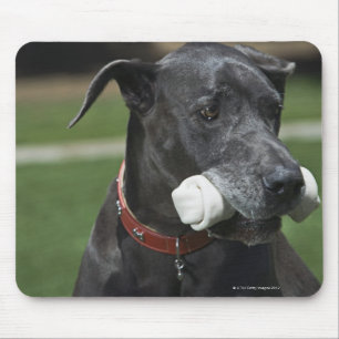 Mousepad Great dane com osso