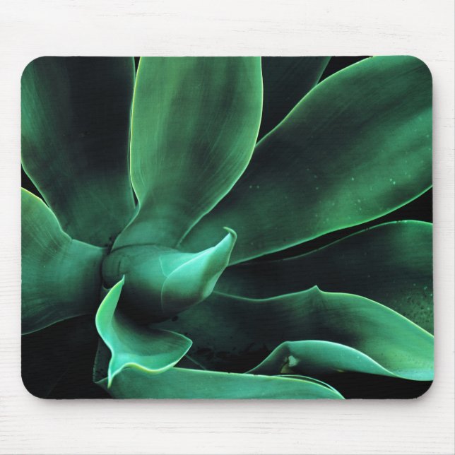 Mousepad Green Agave Attenuata (Frente)