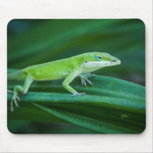 Mousepad Green Anole Lizard