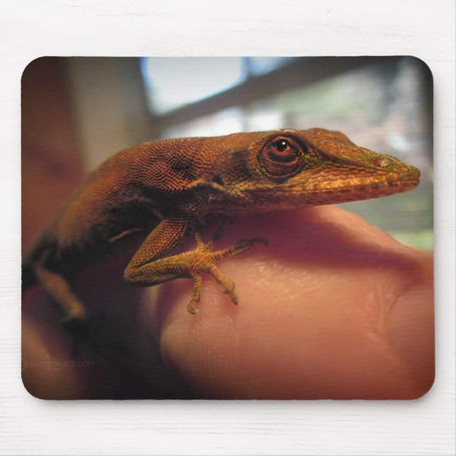 Mousepad Green Anole Lizard (Frente)