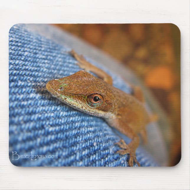 Mousepad Green Anole Lizard (Frente)