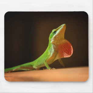 Mousepad Green Anole Lizard com Thraot Vermelho