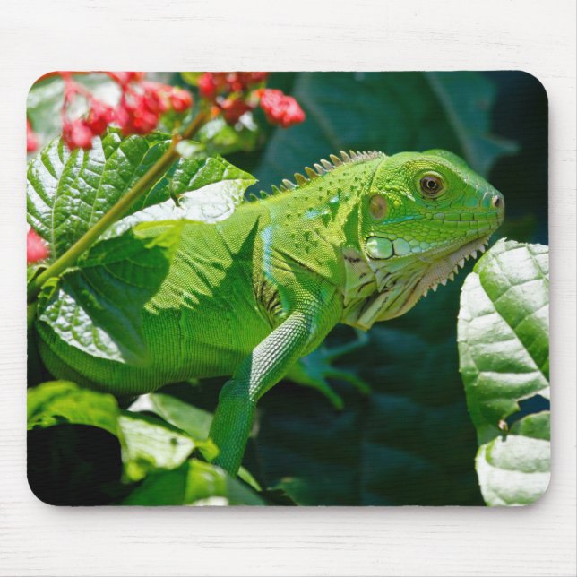 Mousepad Green Iguana Lizard (Frente)