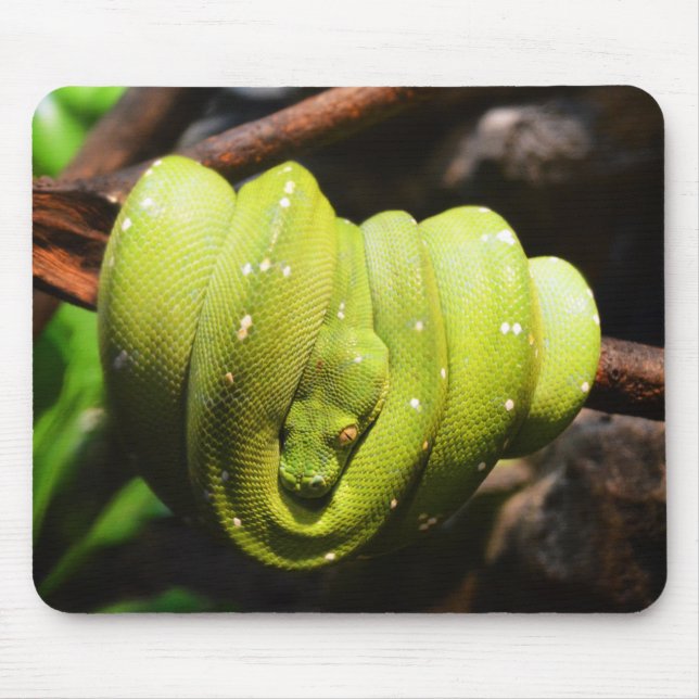 Mousepad Green snake reptile (Frente)