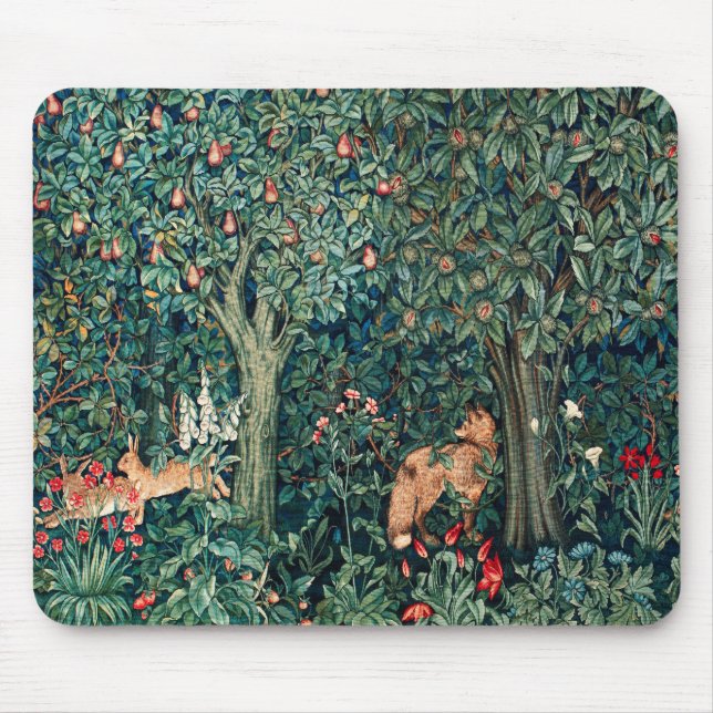 Mousepad GREENERAÇÃO,ANIMAIS FLORESTAIS Magras,Raposa,Flora (Frente)