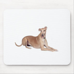 Mousepad Greyhound (descoberto, deitado)