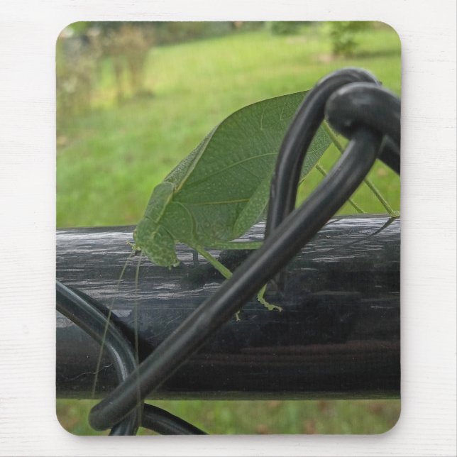 Mousepad Grilo-verde-em-cerca-preta (Frente)
