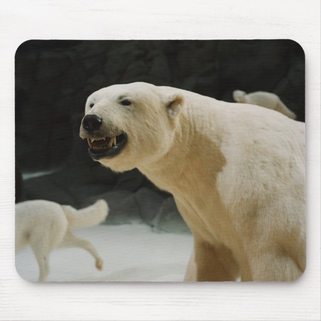 Mousepad Grin do Urso Polar (Frente)