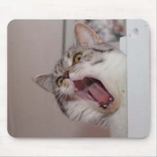 Mousepad Gritando com o "Shorthair" britânico