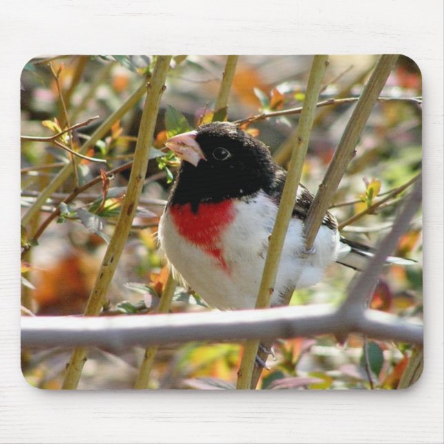Mousepad Grosbeak vermelho quebrado (Frente)
